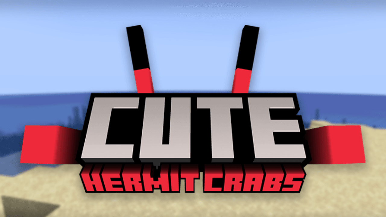 Cute Hermit Crabs